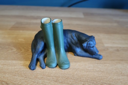 North light black labrador - light,
