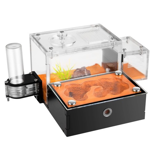 Rimsunta formicarium ant - formicarium,