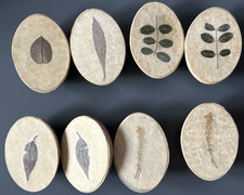 AEON FLUX 2005 Film Props 4