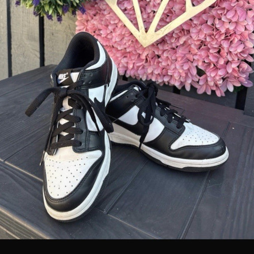 Nike dunk low unisex kids - low,