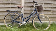 Pendleton Blossomby Junior