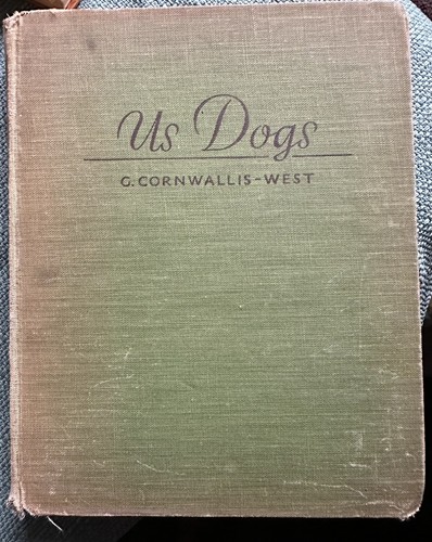Dogs story a labrador - a,