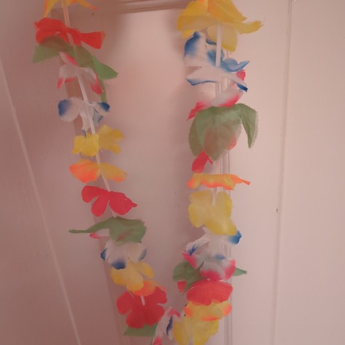 Hawaiian hawaii lei garland - hawaii,