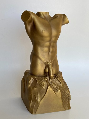 Male torso sculpture bronze - male,