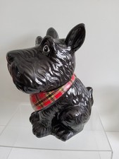 Black Westie Scotty Terrier