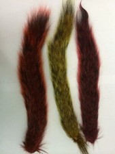 Squirrel Tail Dyed (GSTD)