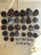 45pcs Christmas Pine Cone Assortment Collection Small, Medium, Large Decorations
