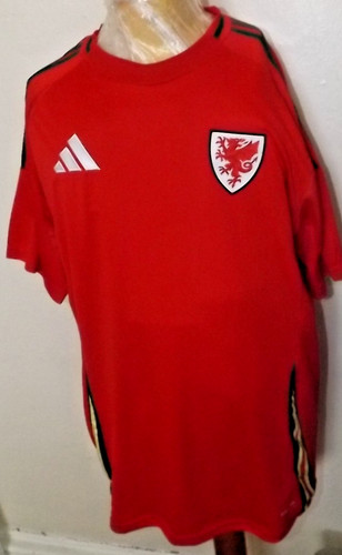 Wales football shirt mans size - shirt,