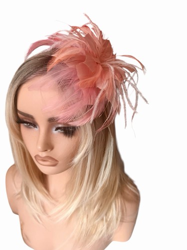 Dusky pink feather - dusky,
