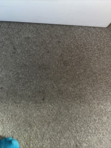 Silent bathroom extractor - bathroom,