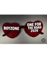 Custom Boyzone Concert Glasses