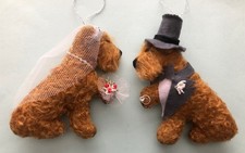 2 X LAKELAND / IRISH TERRIER