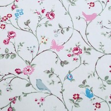 CLARKE AND CLARKE BIRD TRAIL