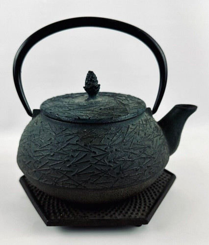 Cast iron japanese teapot - japanese,