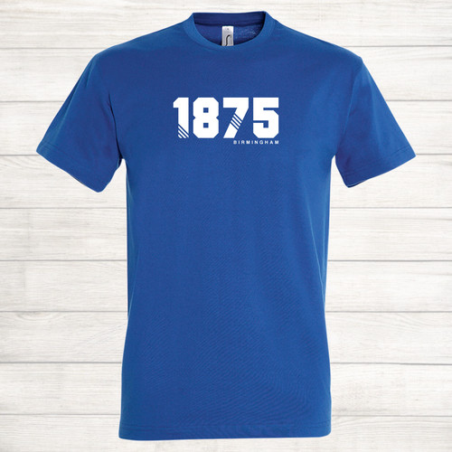 Birmingham city football - birmingham,