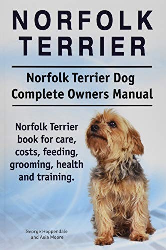 Norfolk terrier - norfolk, terrier.