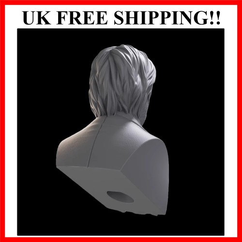 Resin model assembly - resin,