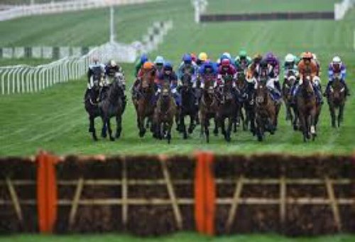The fab horse racing - 7,