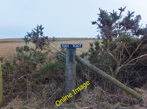 Photo 6x4 toot marshall - 6x4,