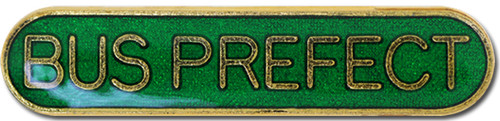 Bus prefect pin badge - prefect, green