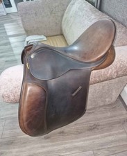16.5 Collegiate Gp Saddle Brown