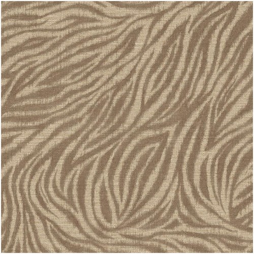 Zebra animal print wallpaper - animal,
