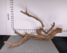 Natural driftwood wood brown - natural,