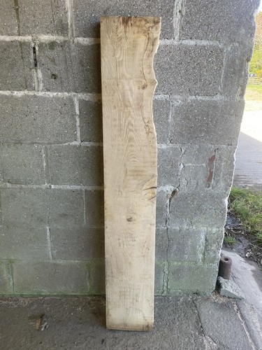 English burr oak - dried, 8yr