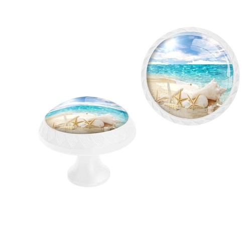 Pack ocean beach starfish - pack,