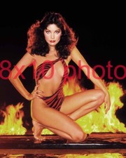 APOLLONIA KOTERO #13,falcon