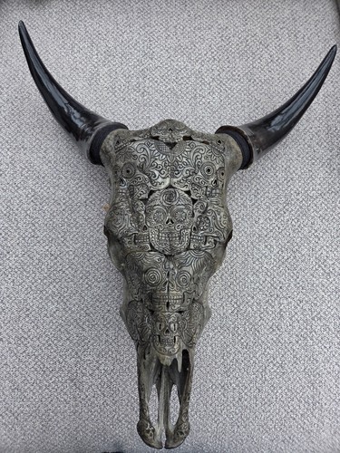 Real carved cow skull - carved, day