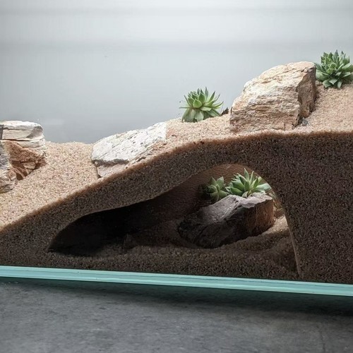 Aquarium underground hiding - aquarium,