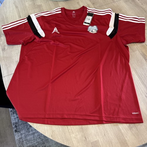2015 cardiff city player - cardiff,