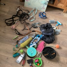 Huge Bundle Of Cat /dog Stuff ( New& Used) Bargain 