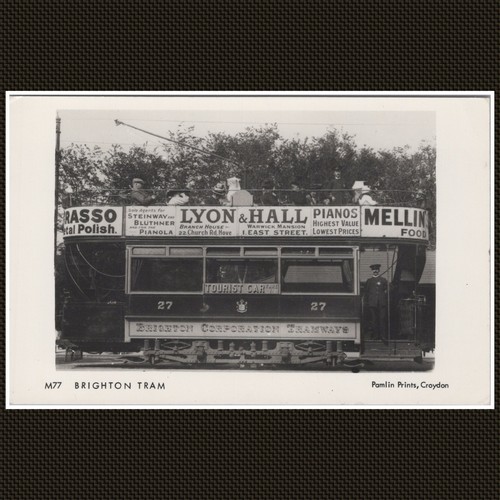 Brighton tram - tram,