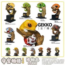 Pet Gekko Wall Lizard Reptilia
