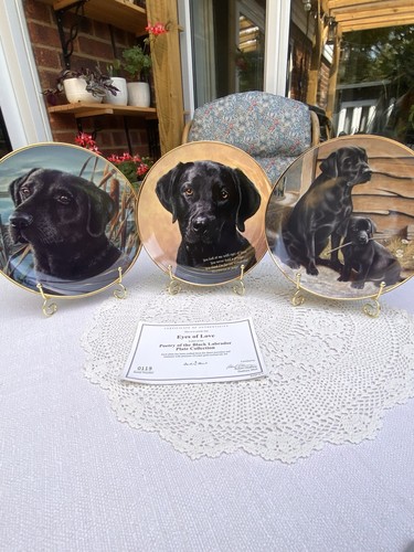 Set black labrador - set, 3