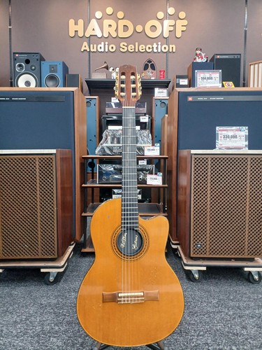 Gibson usa chet - chet, elegat