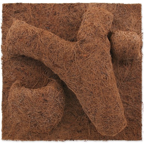 Repti planet coco planter 30cm - coco,