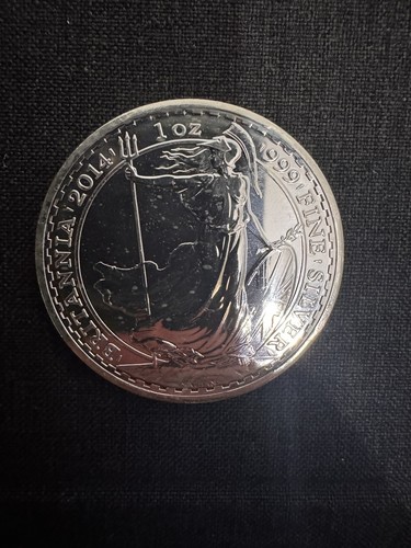 2014 silver britannia - 1,