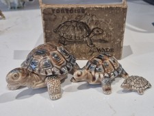 WADE The Tortoise Family "Trinket Pot" Boxed Tortoise and 2 smaller tortoise