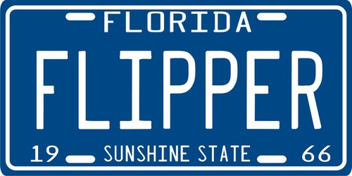 Flipper dolphin 1966 - , florida