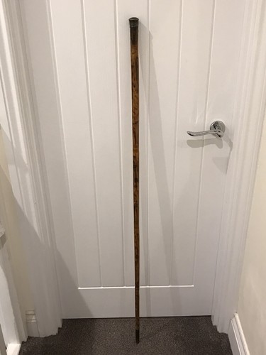 Antique bamboo walking stick - antique,