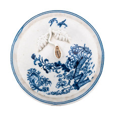 England Porcelain Worcester