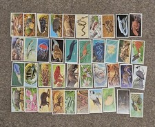 Vintage Brooke Bond Incredible