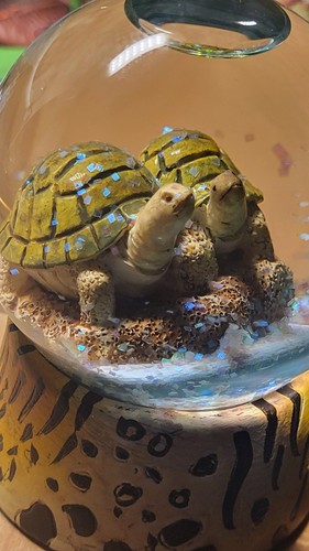 Box turtles snow glitter globe - snow,