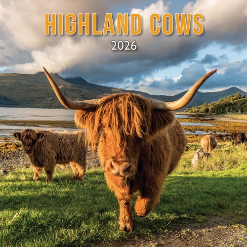 Calendar 2026 highland cows - 2026,