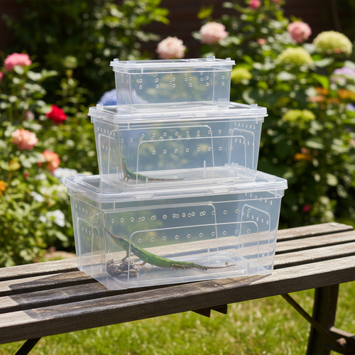 Clear reptile breeding feeding - clear,