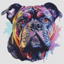 American Bully Puppy Dog