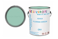 Classic Paint For Wolseley